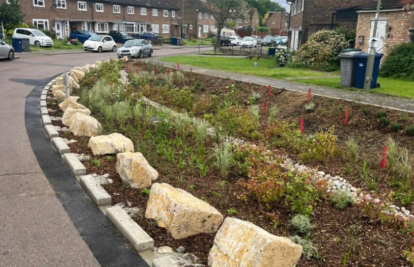 Muswell Hill rain garden