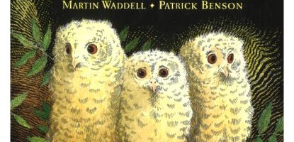Book cover for Martin Waddell's Owl Babies - an image of three owlets